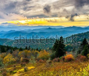 Природа - 720 | Wall-Style