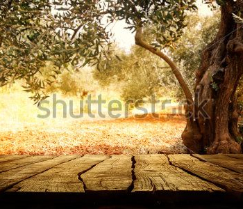 Природа - 118 | Wall-Style