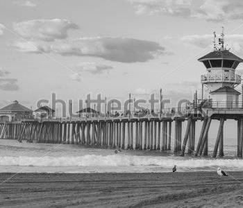 Природа - 480 | Wall-Style