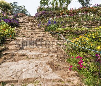 Природа - 576 | Wall-Style