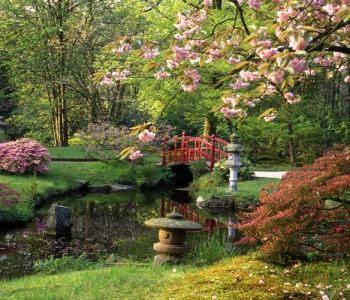 Природа - 7 | Wall-Style