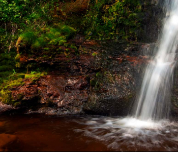 Природа - 21 | Wall-Style