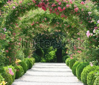 Природа - 568 | Wall-Style