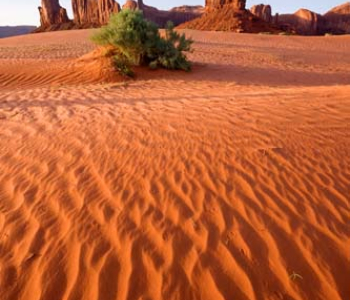 Природа - 11 | Wall-Style