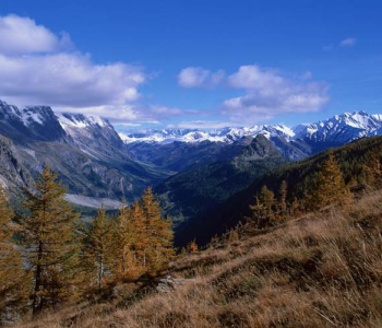 Природа - 473 | Wall-Style