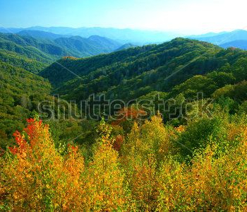 Природа - 184 | Wall-Style