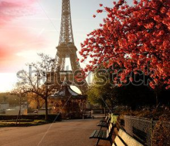 Архитектура - 230 | Wall-Style