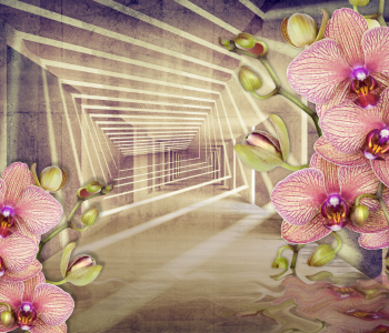 3Д - 14 | Wall-Style