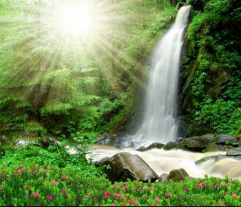 Природа - 439 | Wall-Style