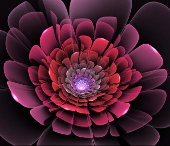 3Д - 269 | Wall-Style