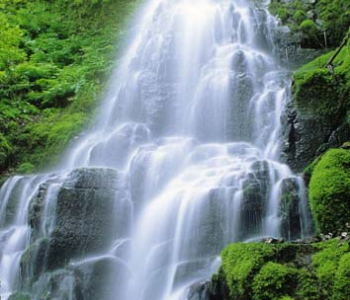 Природа - 31 | Wall-Style