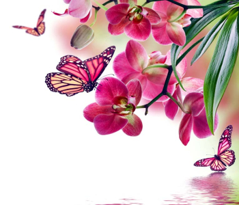 Цветы и растения - 169 | Wall-Style