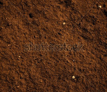 Фоны и текстуры - 185 | Wall-Style