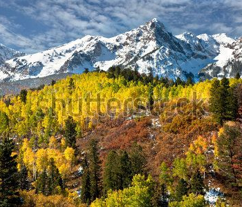 Природа - 577 | Wall-Style