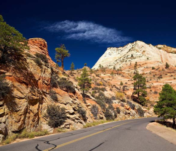 Природа - 225 | Wall-Style