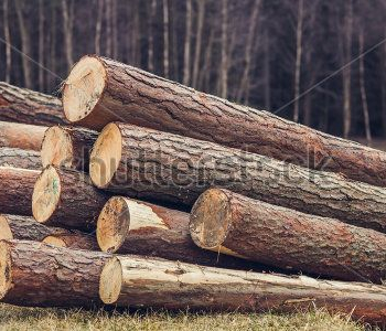 Природа - 548 | Wall-Style