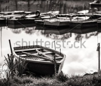 Природа - 499 | Wall-Style