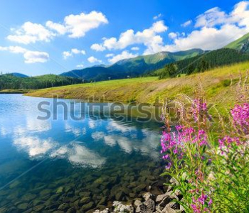 Природа - 30 | Wall-Style