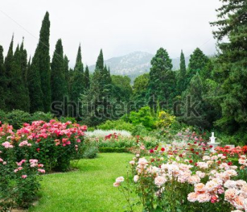 Природа - 562 | Wall-Style