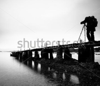 Природа - 545 | Wall-Style