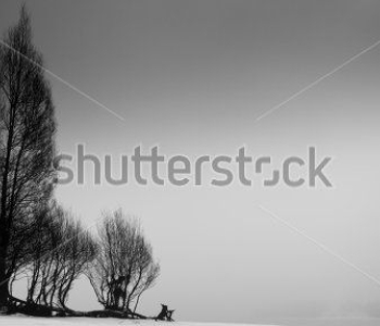 Природа - 494 | Wall-Style