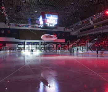 Спорт - 413 | Wall-Style