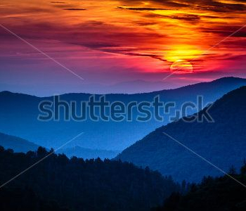 Природа - 773 | Wall-Style