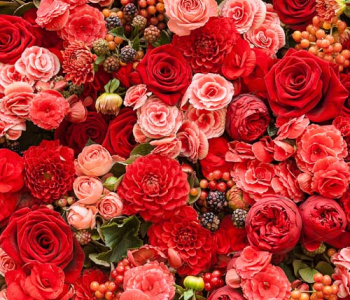 Цветы и растения - 143 | Wall-Style