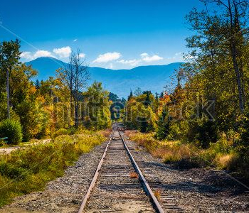 Природа - 549 | Wall-Style