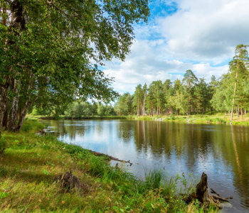 Природа - 11 | Wall-Style