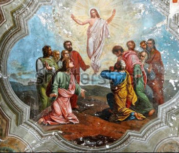 Фреска - 311 | Wall-Style