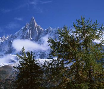 Природа - 459 | Wall-Style