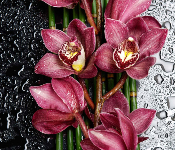 Цветы и растения - 201 | Wall-Style