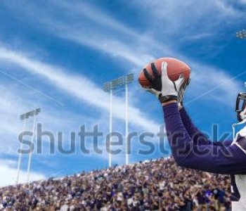 Спорт - 119 | Wall-Style