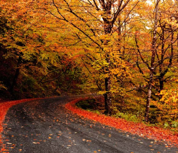 Природа - 19 | Wall-Style