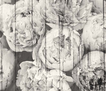 Цветы и растения - 46 | Wall-Style