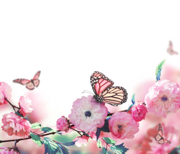 Цветы и растения - 51 | Wall-Style