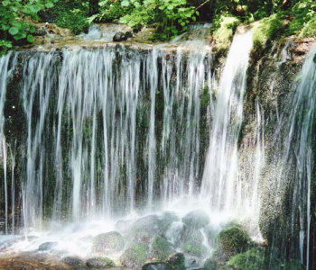 Природа - 434 | Wall-Style