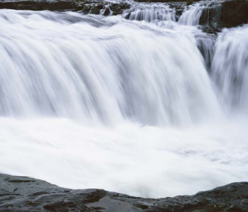 Природа - 443 | Wall-Style