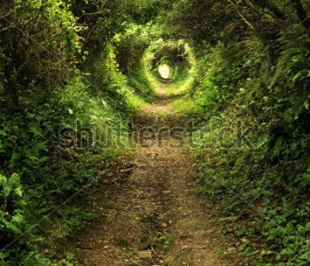 Фэнтези - 28 | Wall-Style