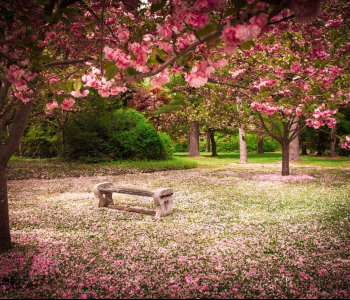 Природа - 149 | Wall-Style