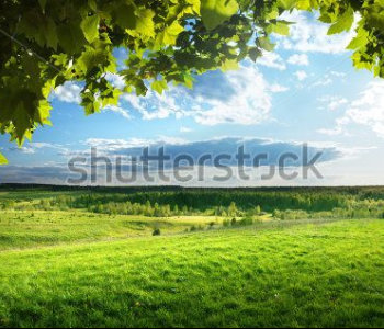 Природа - 64 | Wall-Style