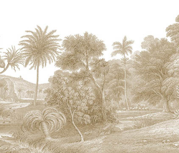 Цветы и растения - 400 | Wall-Style