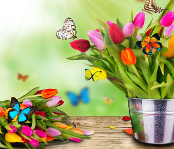 Цветы и растения - 127 | Wall-Style