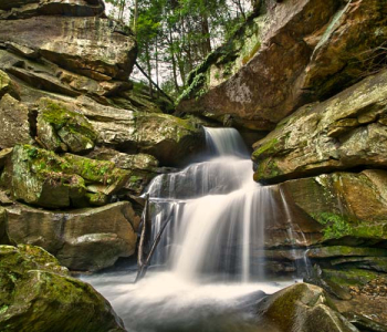 Природа - 438 | Wall-Style