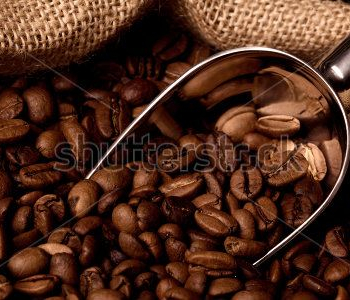 Еда и напитки - 37 | Wall-Style