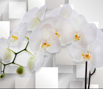 3Д - 20 | Wall-Style