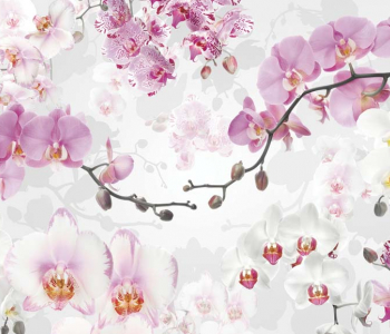 Цветы и растения - 7 | Wall-Style