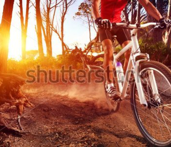 Спорт - 5 | Wall-Style