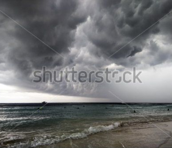 Природа - 507 | Wall-Style